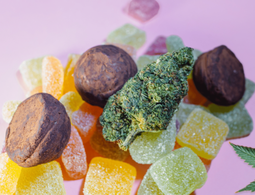 Garden Gummies: What They Are and Why You Should Try Them