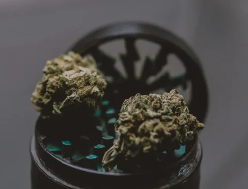 Find the Best Weed Dispensary & Weed Store in Needles, CA for a Unique Cannabis Experience