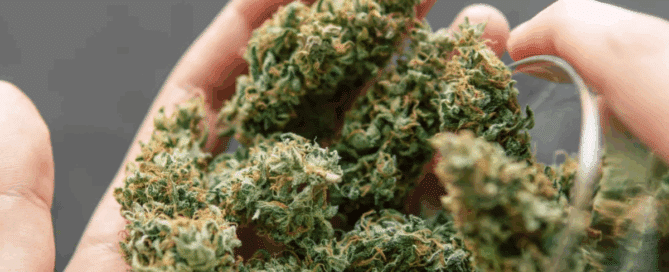 The Healing Center Weed Dispensary storefront in California offering premium cannabis products