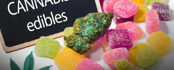 How to Use THC Edibles Safely_ A Beginners Guide to Cannabis Gummies