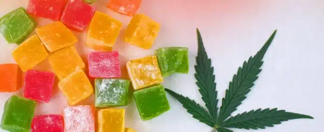 Top 5 Reasons People Love THC Gummies for Relaxation and Sleep