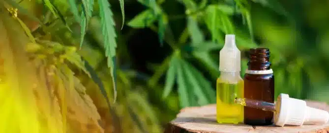 CBD for Summer Wellness_ Managing Sunburn and Inflammation Naturally