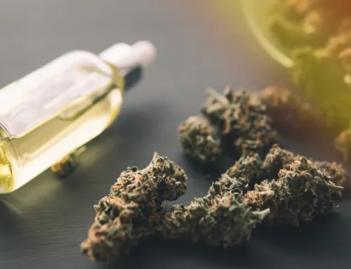 Exploring THC vs. CBD: What You Need to Know Before Your Next Purchase