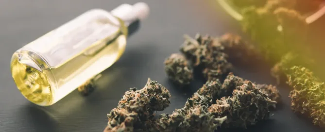 Exploring THC vs. CBD_ What You Need to Know Before Your Next Purchase