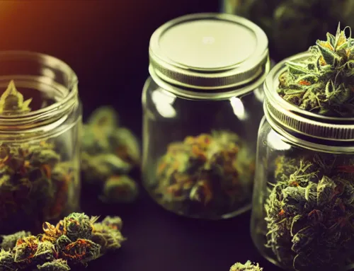 How to Store Your Cannabis Products During Hot Summer Months