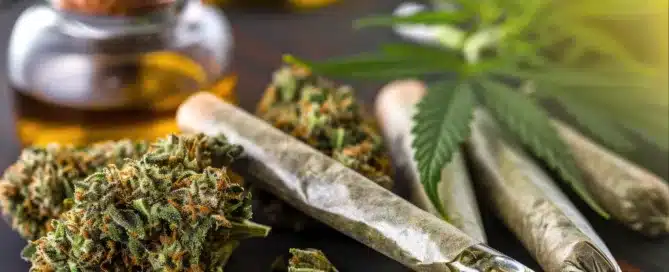 Back-to-School Stress_ How Cannabis Can Help You Relax and Focus
