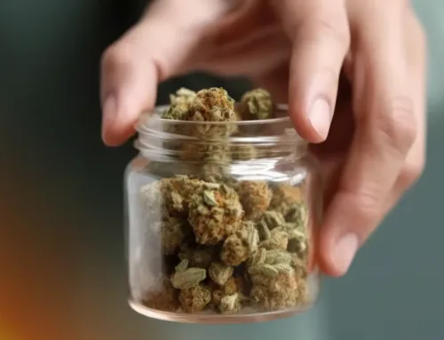 Introducing New Fall Flavors and Strains at Needles THC