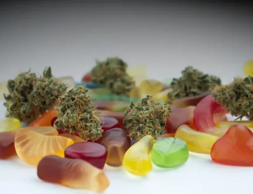 The Best Cannabis Edibles for On-the-Go Lifestyle