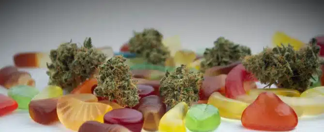 The Best Cannabis Edibles for On-the-Go Lifestyle