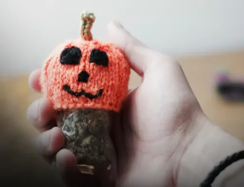 Halloween Safety Tips: Using Cannabis Responsibly During the Festivities