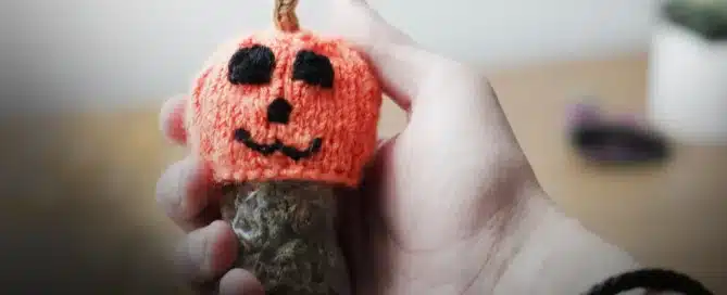 Halloween Safety Tips_ Using Cannabis Responsibly During the Festivities