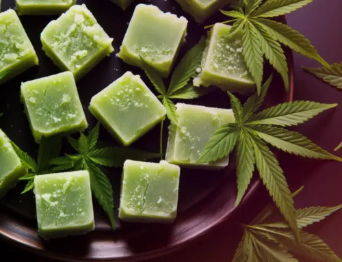 Top Cannabis Products for a Cozy Fall Night In