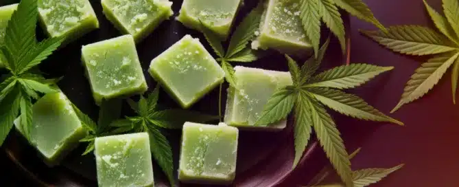 Top Cannabis Products for a Cozy Fall Night In