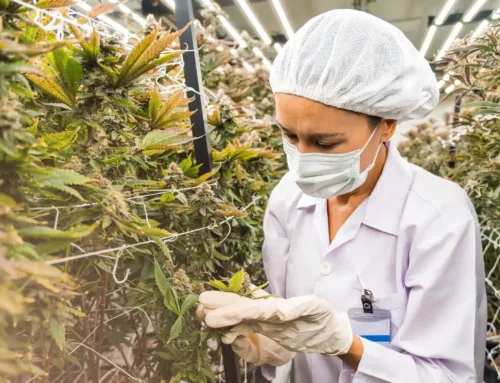 Lab Results vs Labels: Why Seasonal Batches May Differ in November