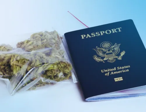 Traveling with Cannabis During Thanksgiving: Legal Tips & Safe Packaging